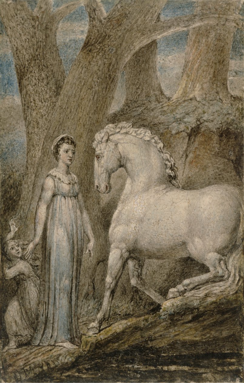 O Cavalo de William Blake