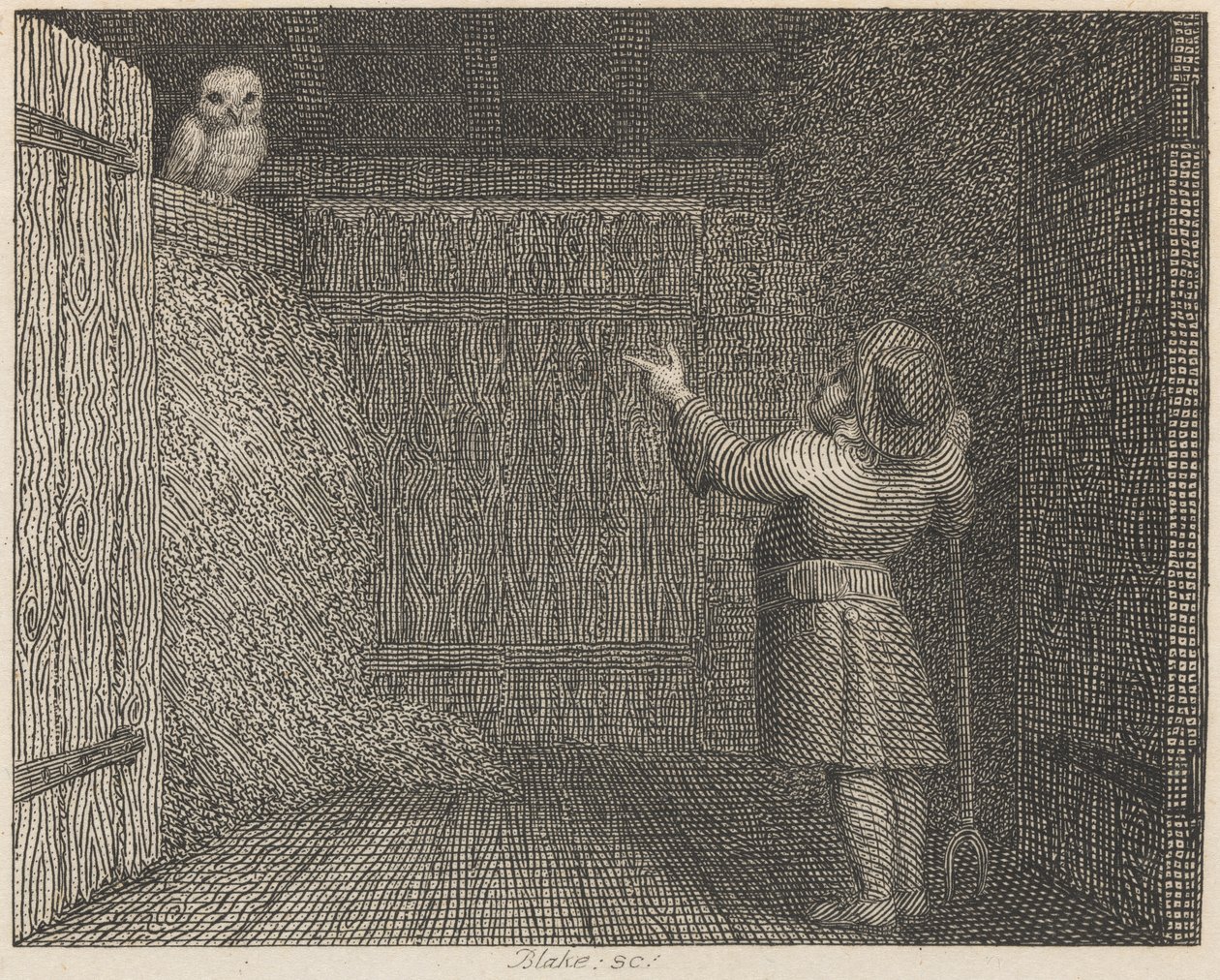 A Coruja e o Agricultor de William Blake