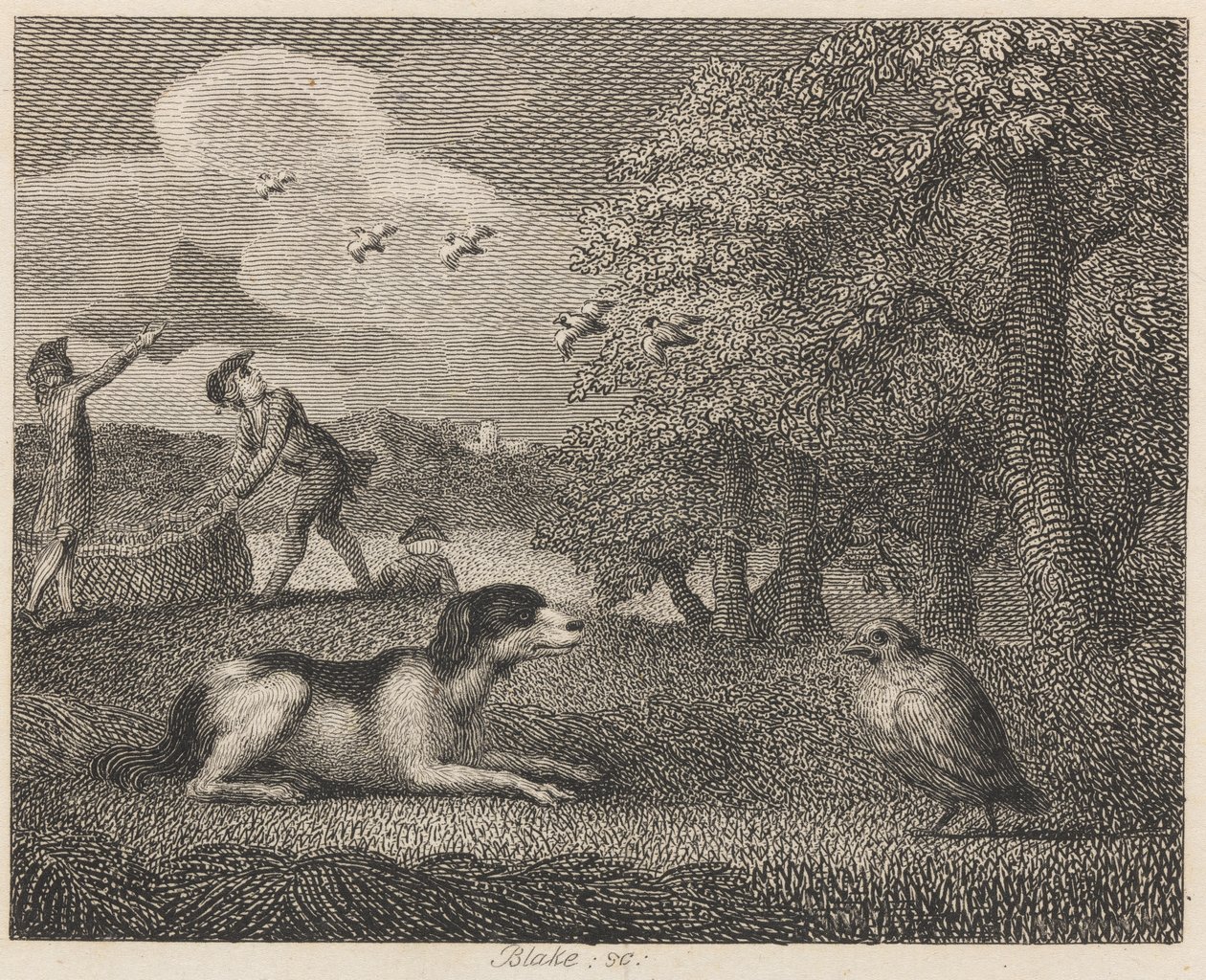 O Cão de Montagem e a Perdiz de William Blake
