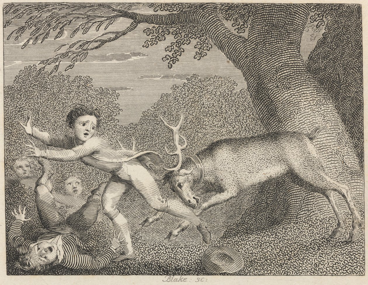 O Estágio Domado de William Blake