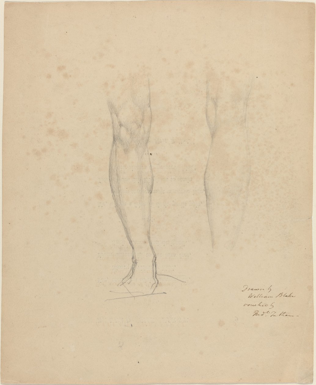 Duas pernas de William Blake