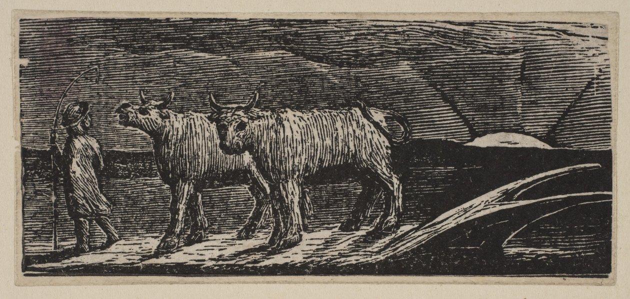 Novilhas Unyokd, Loitering Homeward, de Thorntons Pastorals of Virgil, 1821. de William Blake