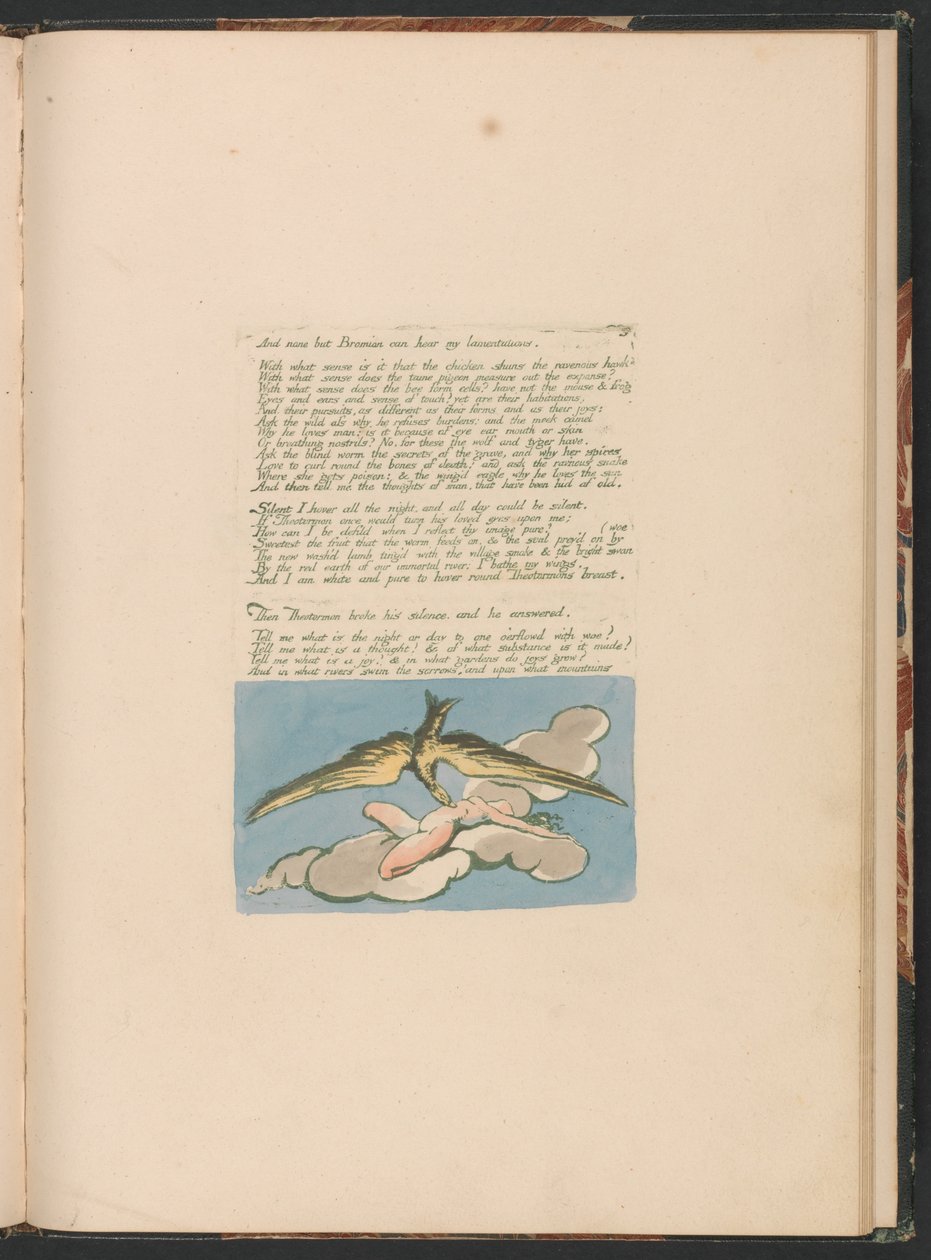Visões das Filhas de Albion, Placa 6, E ninguém além de Bromian. . . . de William Blake