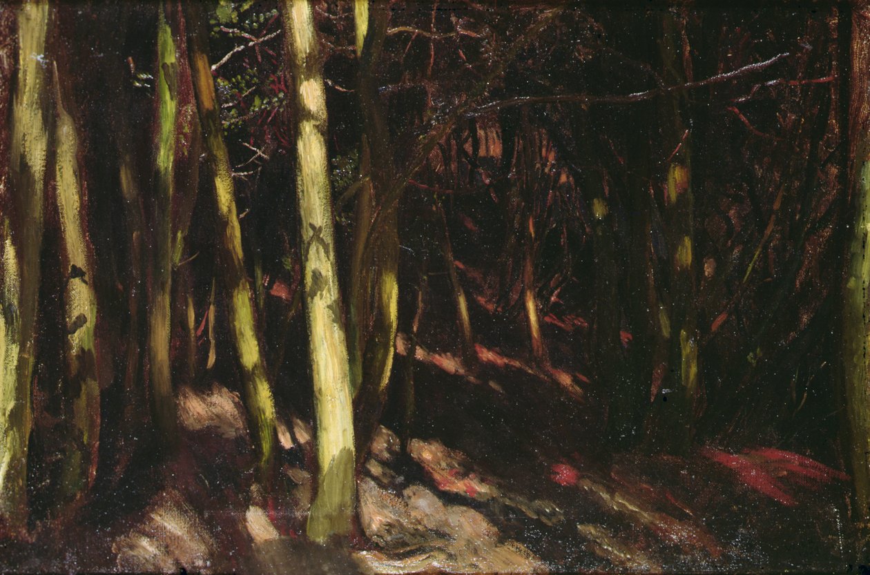 Árvores, c.1890 (óleo a bordo) de William Blake Richmond