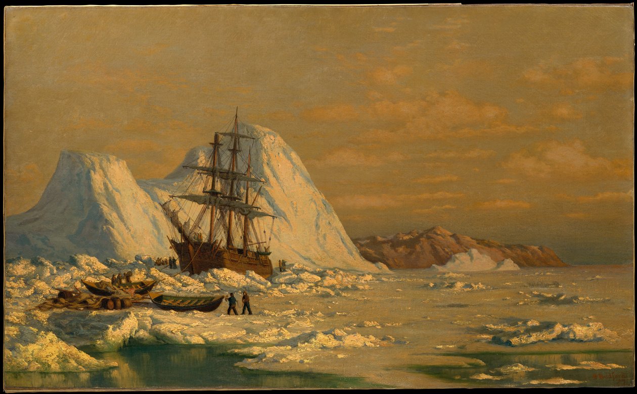 Um incidente de caça à baleia de William Bradford