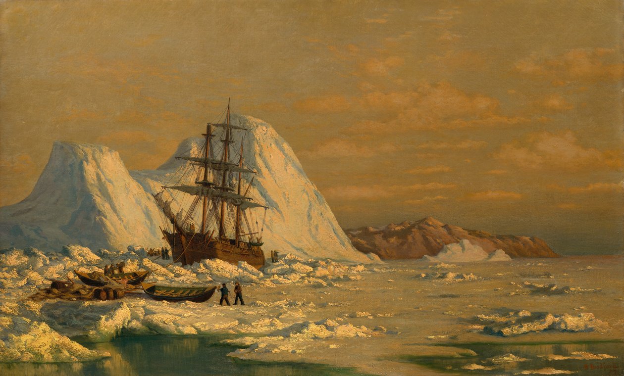 Um incidente de caça à baleia. de William Bradford