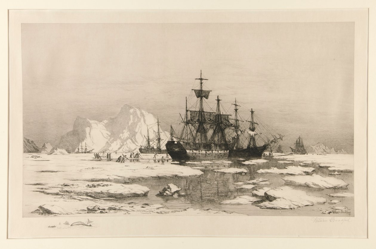 Seladores no Árctico, após a pintura: Entre os Floes de Gelo, 1875 de William Bradford