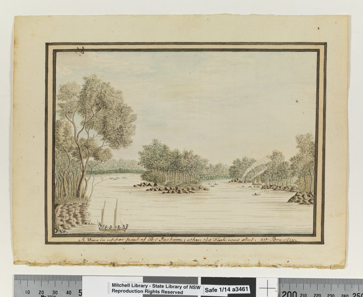 Em frente, p. 120. Vista na parte superior de Port Jackson; quando o peixe foi baleado, c.1802 (aguarela) de William Bradley