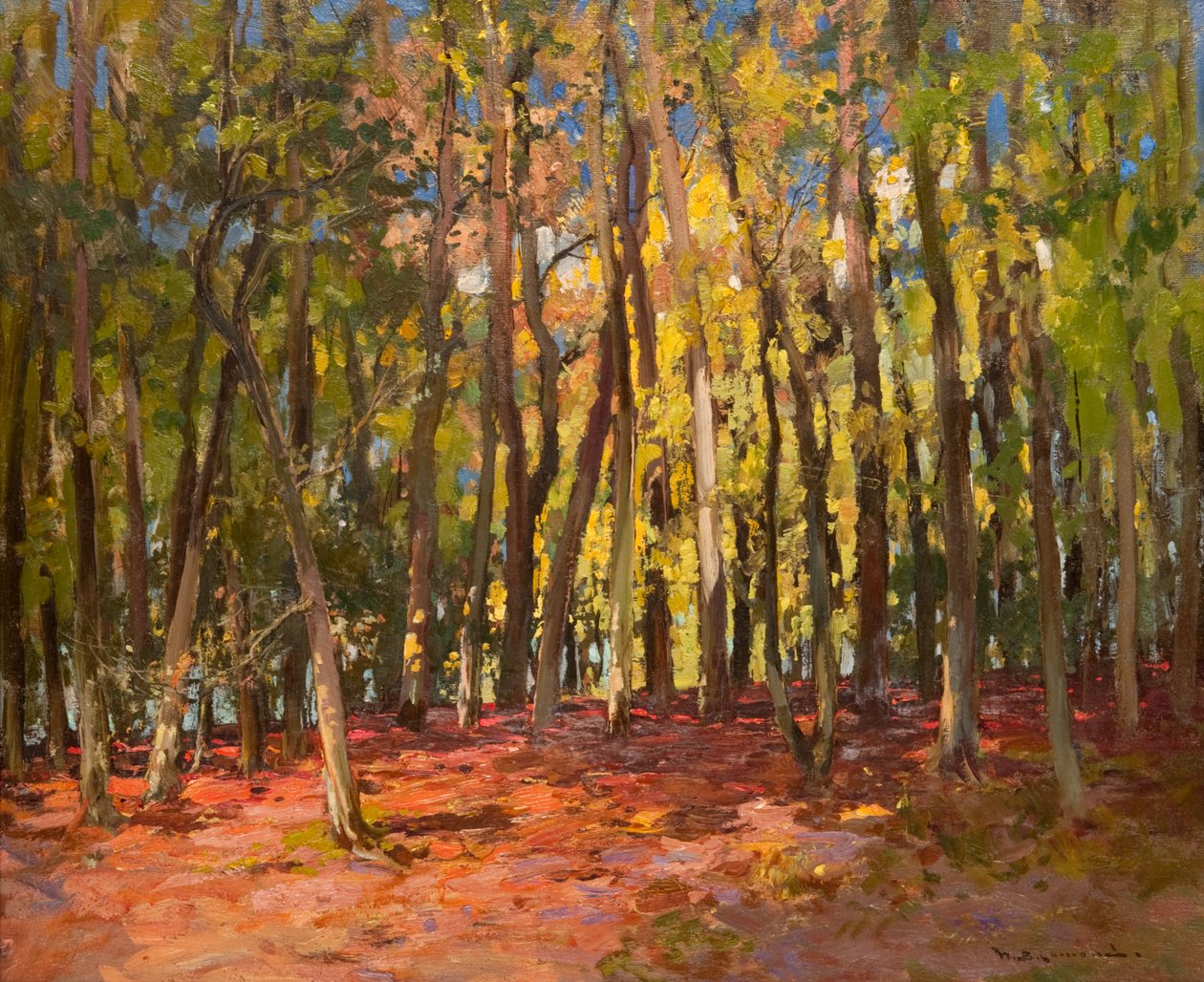 The Witches Wood de William Bradley Lamond