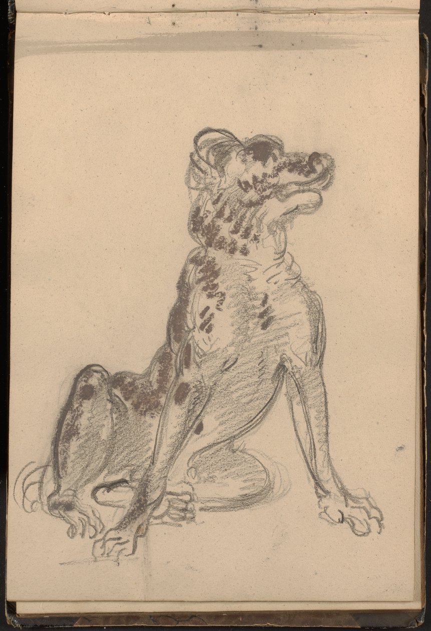 Retrato de um cão de William Brockedon