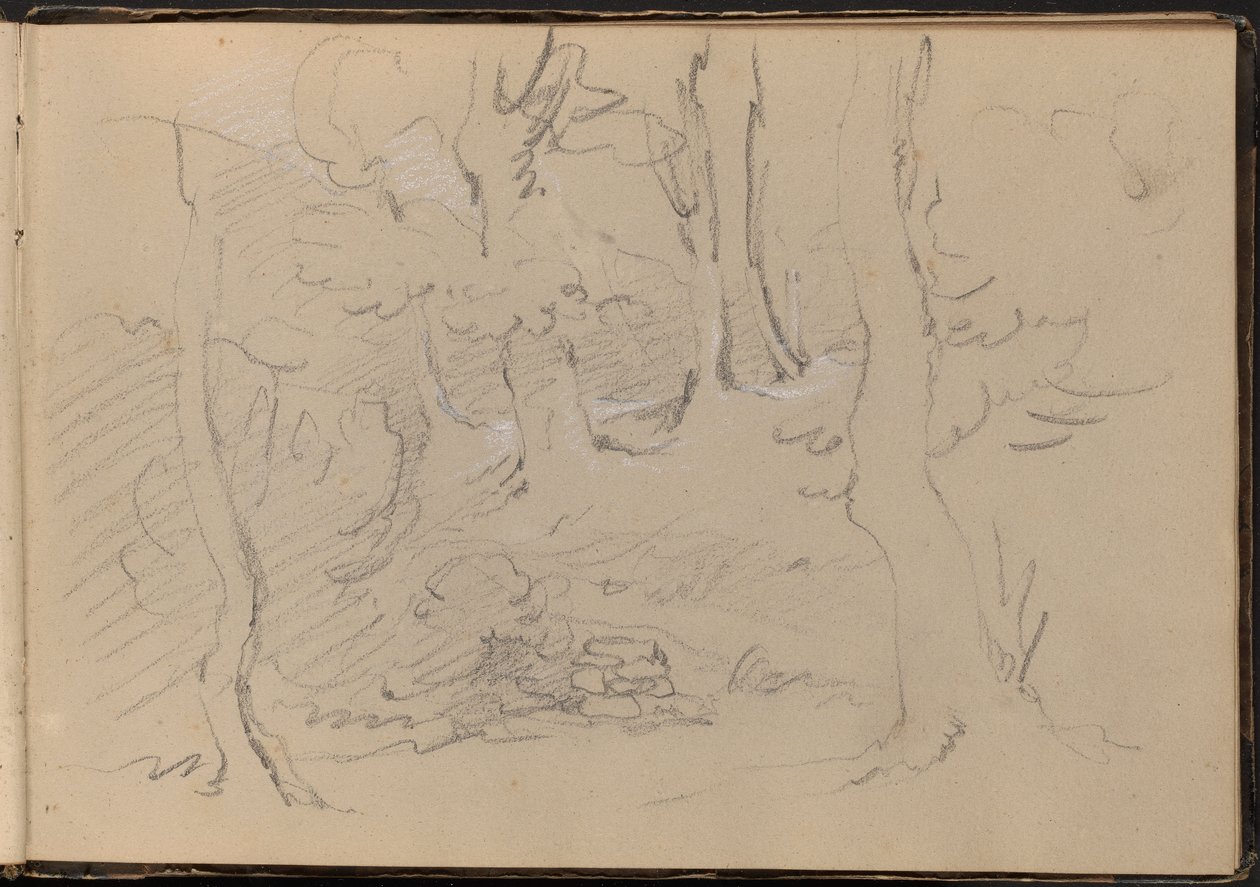 Esboço de um Grupo de Árvores de William Brockedon