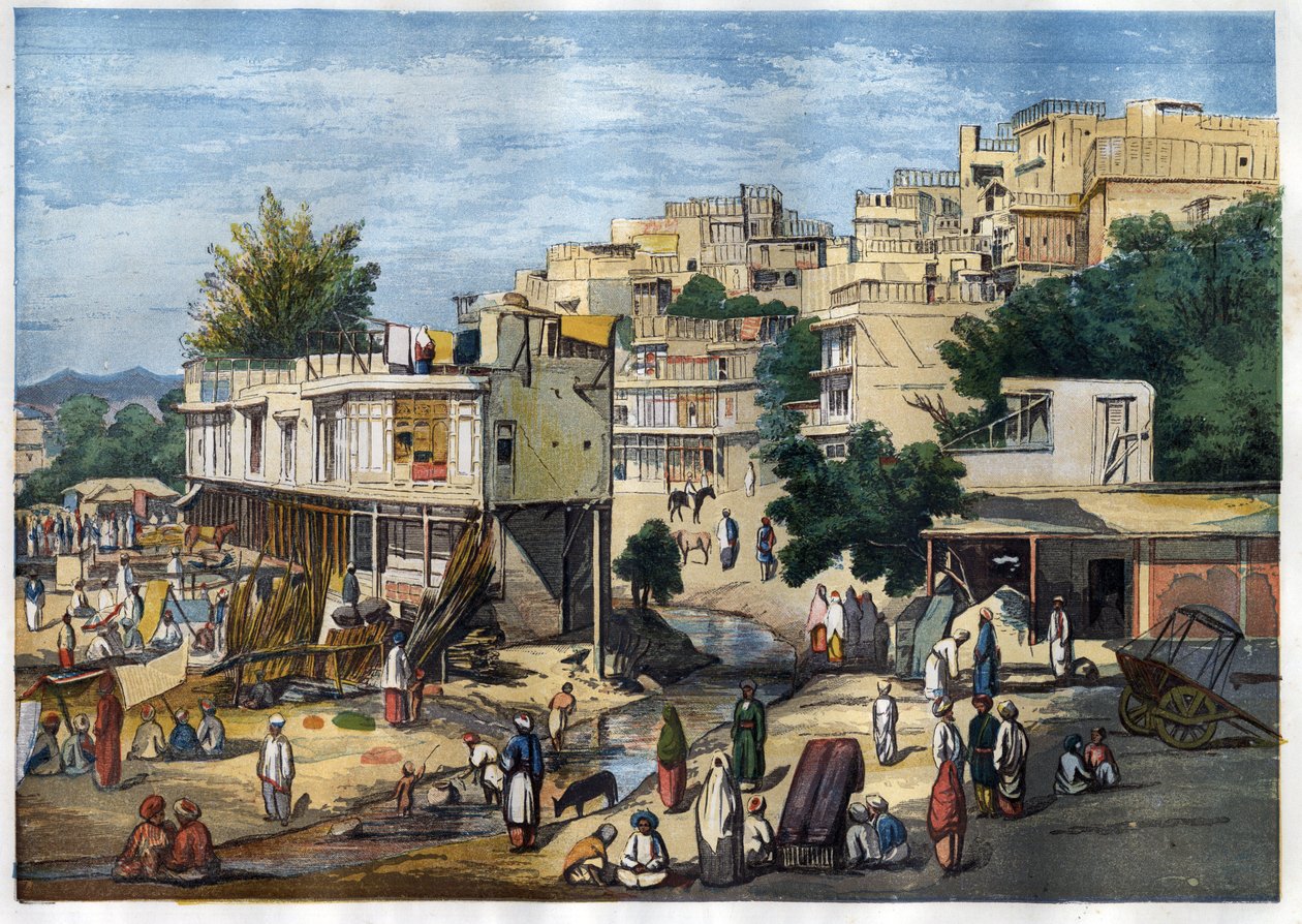 Vista de Peshawar, Paquistão de William Carpenter