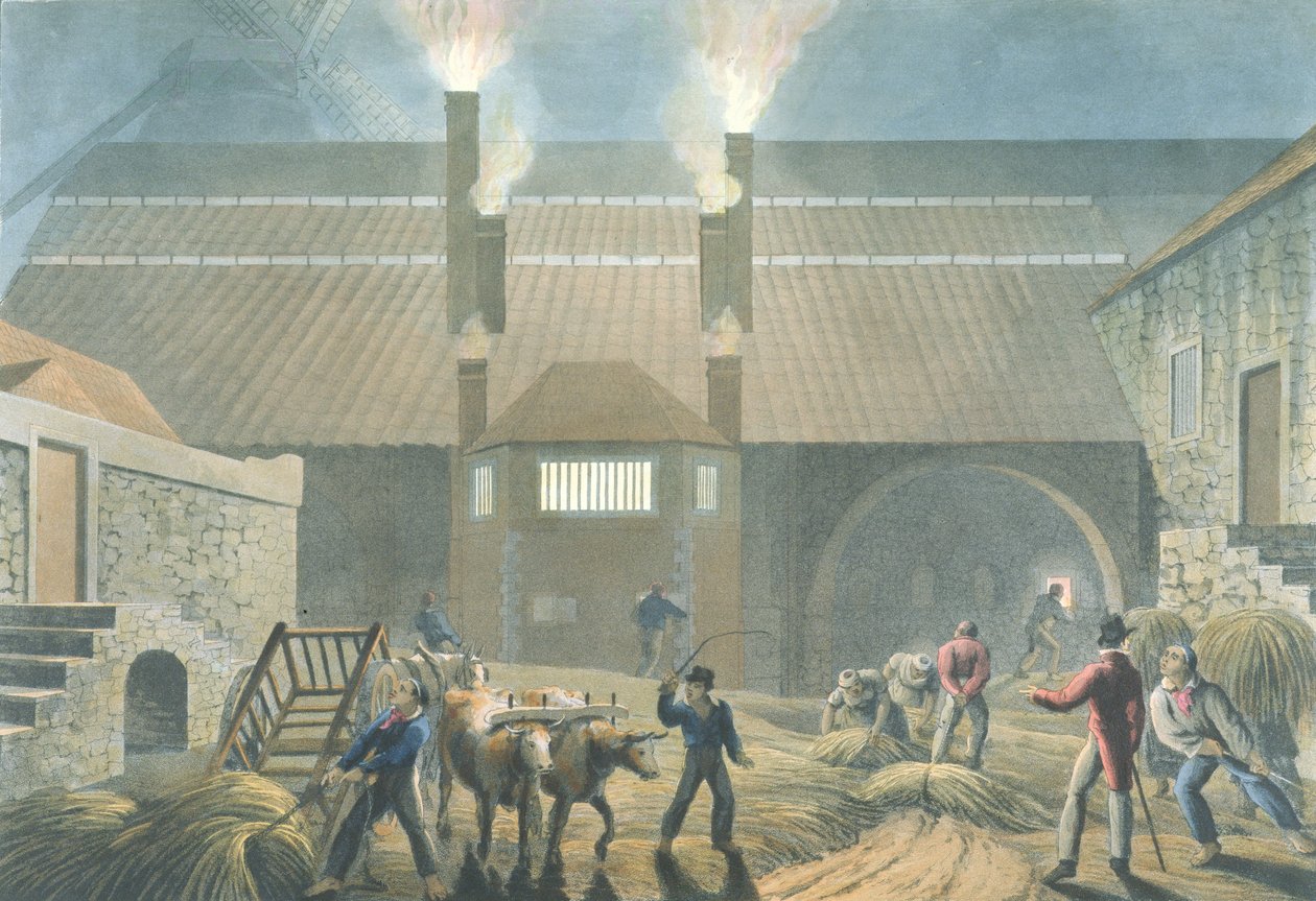 Exterior, ebulição, casa, de, &39;dez, vistas, em, a, ilha, de, Antigua&39;, 1823 de William Clark