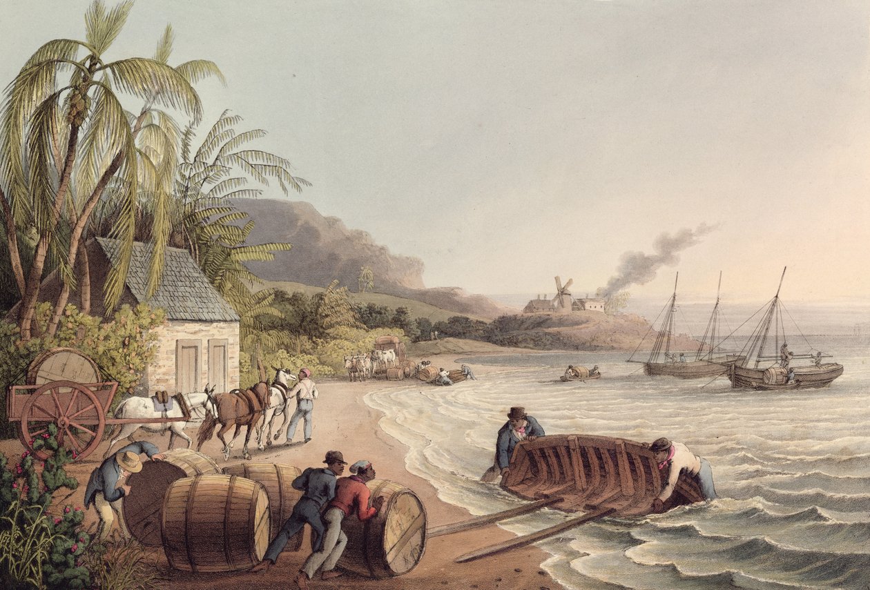 Carregamento de Barris de Rum e Açúcar, Antígua de William Clark