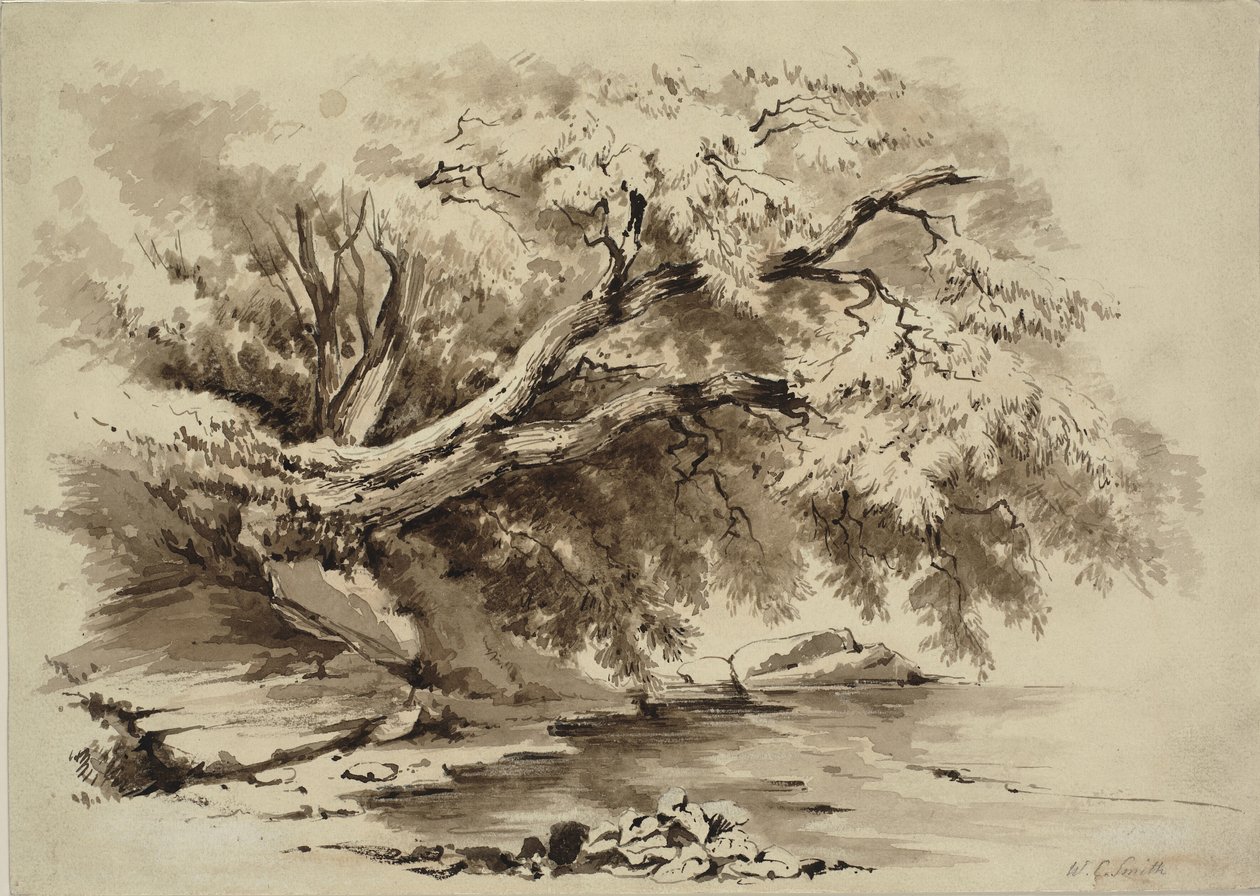 Paisagem com árvores pendendo de um lago de William Collingwood Smith