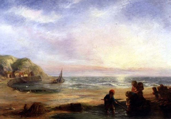 Os Camarões de William Collins