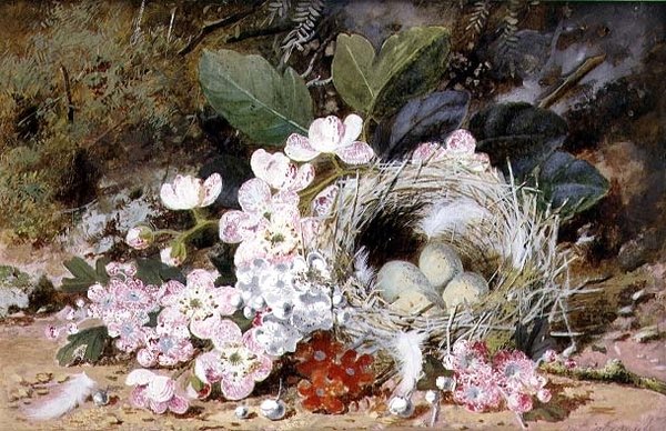 Natureza Morta do Ninho de Pássaros com Primulas de William Cruikshank