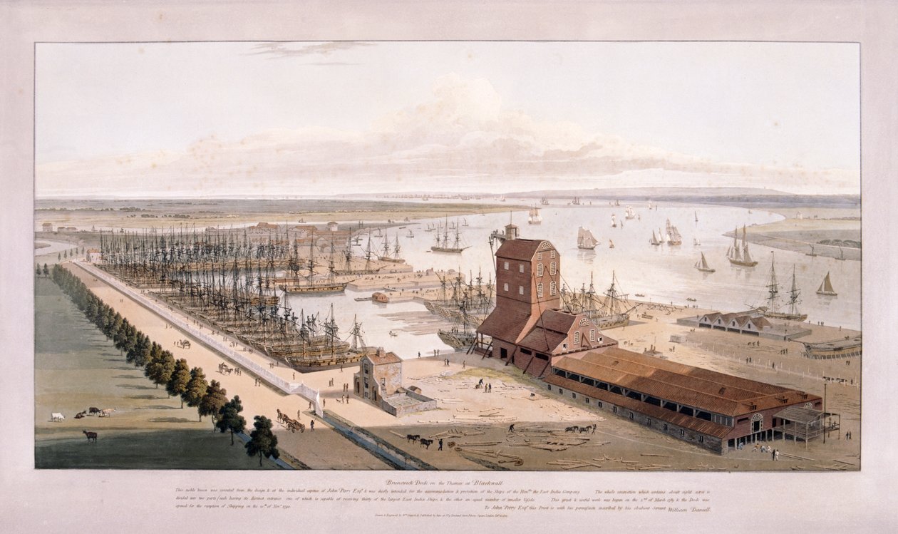 Brunswick Dock, e East India Dock, Poplar, Londres, 1803 de William Daniell