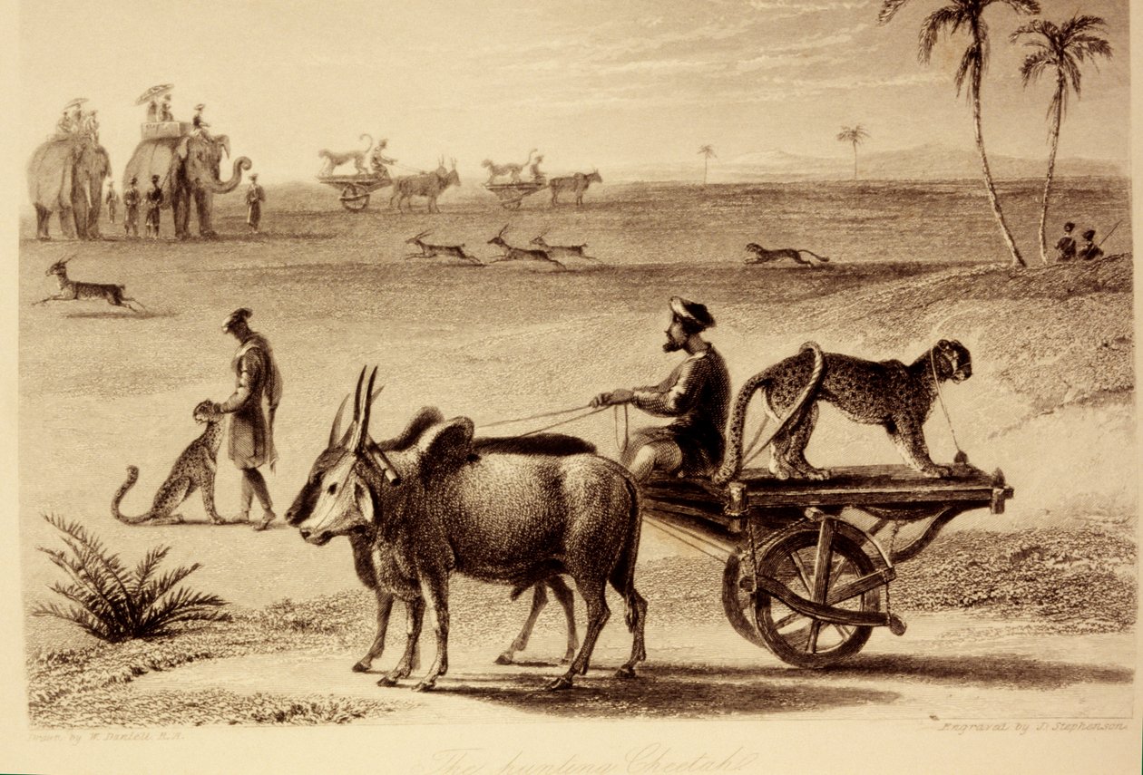 As chitas da caça de William Daniell