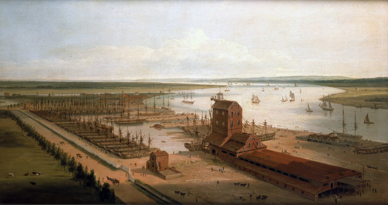 Os estaleiros Perry (então Green) nas docas de Brunswick e o Blackwall Building, uma fábrica de mastros, ao longo do Tamisa (Inglaterra) de William Daniell