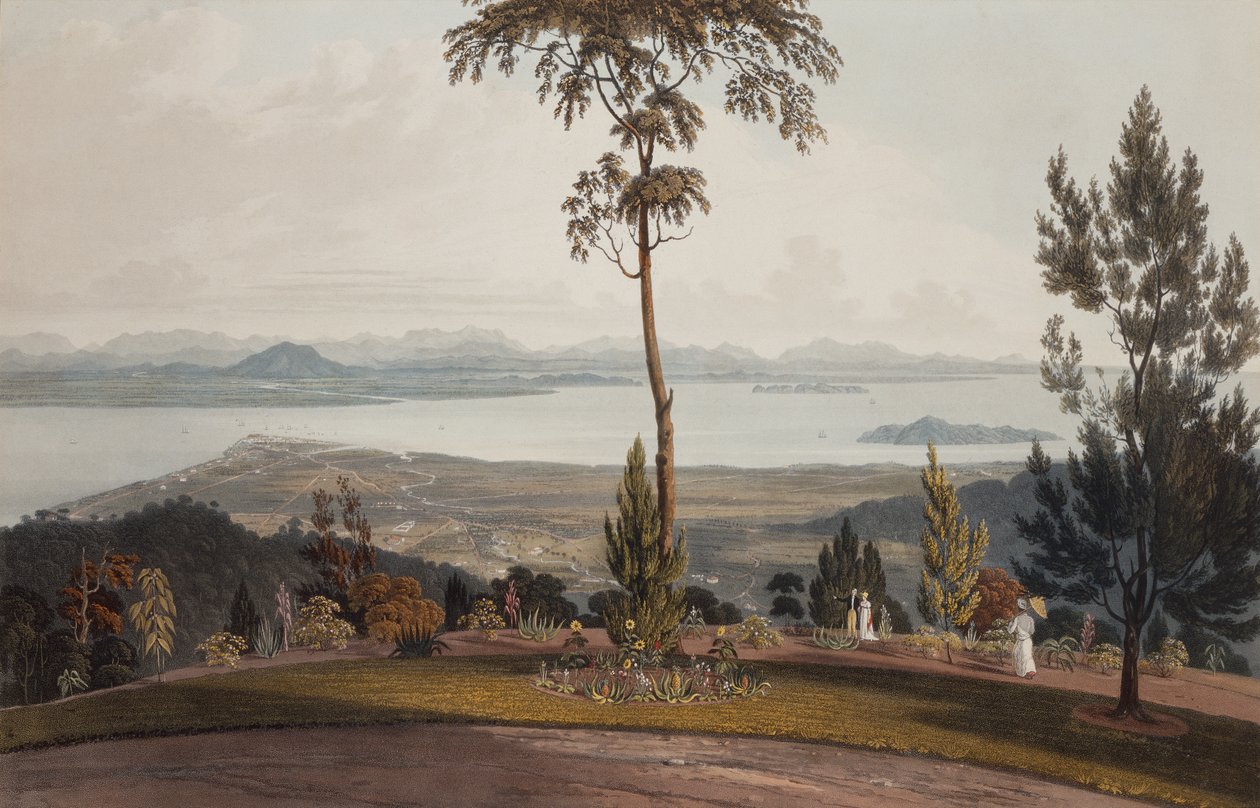 Vista de Strawberry Hill, Ilha do Príncipe de Gales de William Daniell