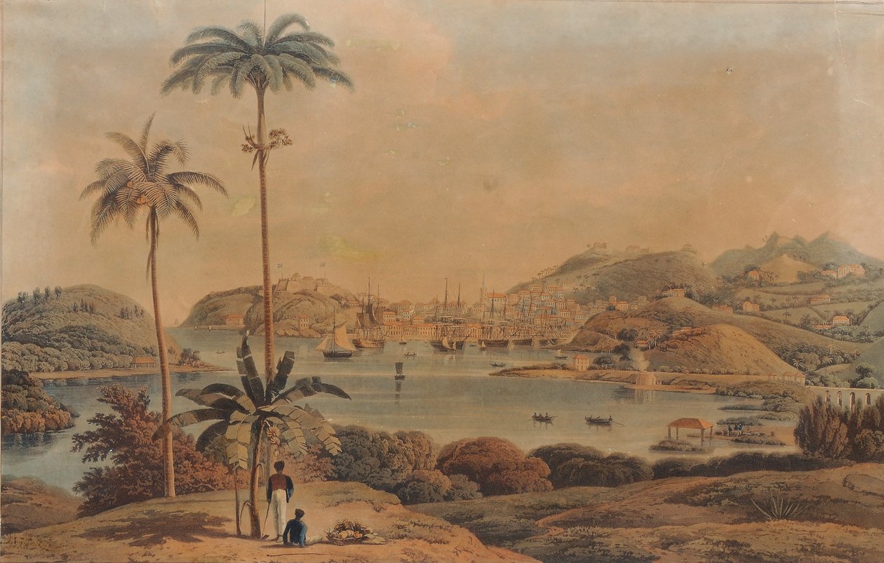 Vista da cidade de St. George e Richmond Heights na ilha de Granada, tirada da Baía pelo tenente-coronel Wilson, 1819 de William Daniell