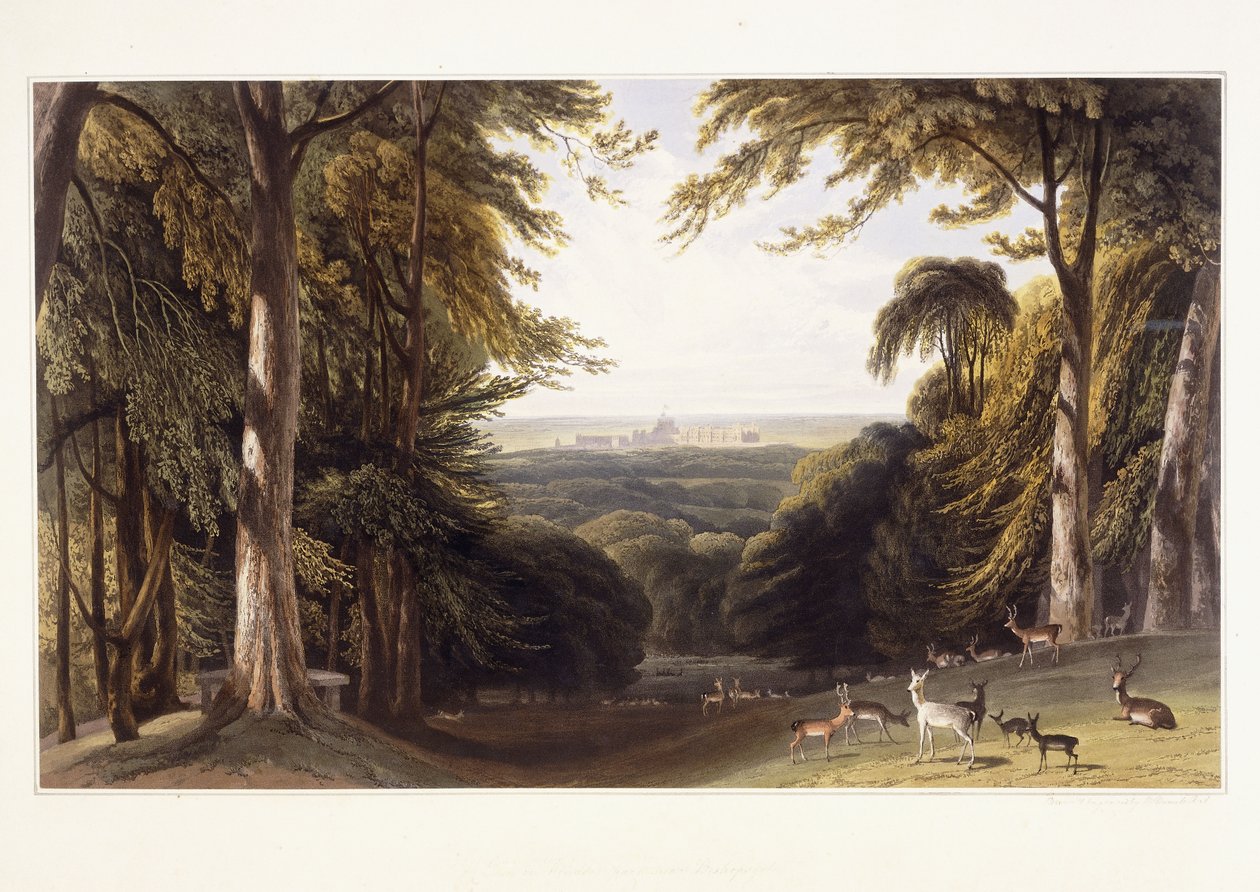 Castelo de Windsor do Deer Park, c.1827-1829 de William Daniell