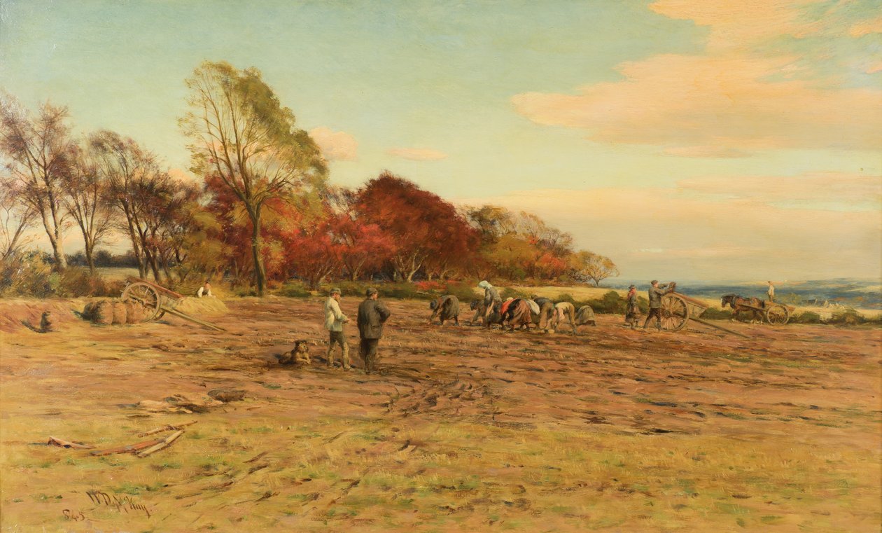 Apanhando Batatas de William Darling McKay