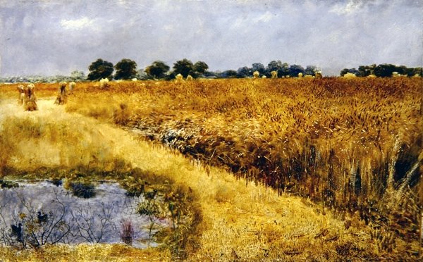 Um Campo de Milho (óleo a bordo) de William Davis