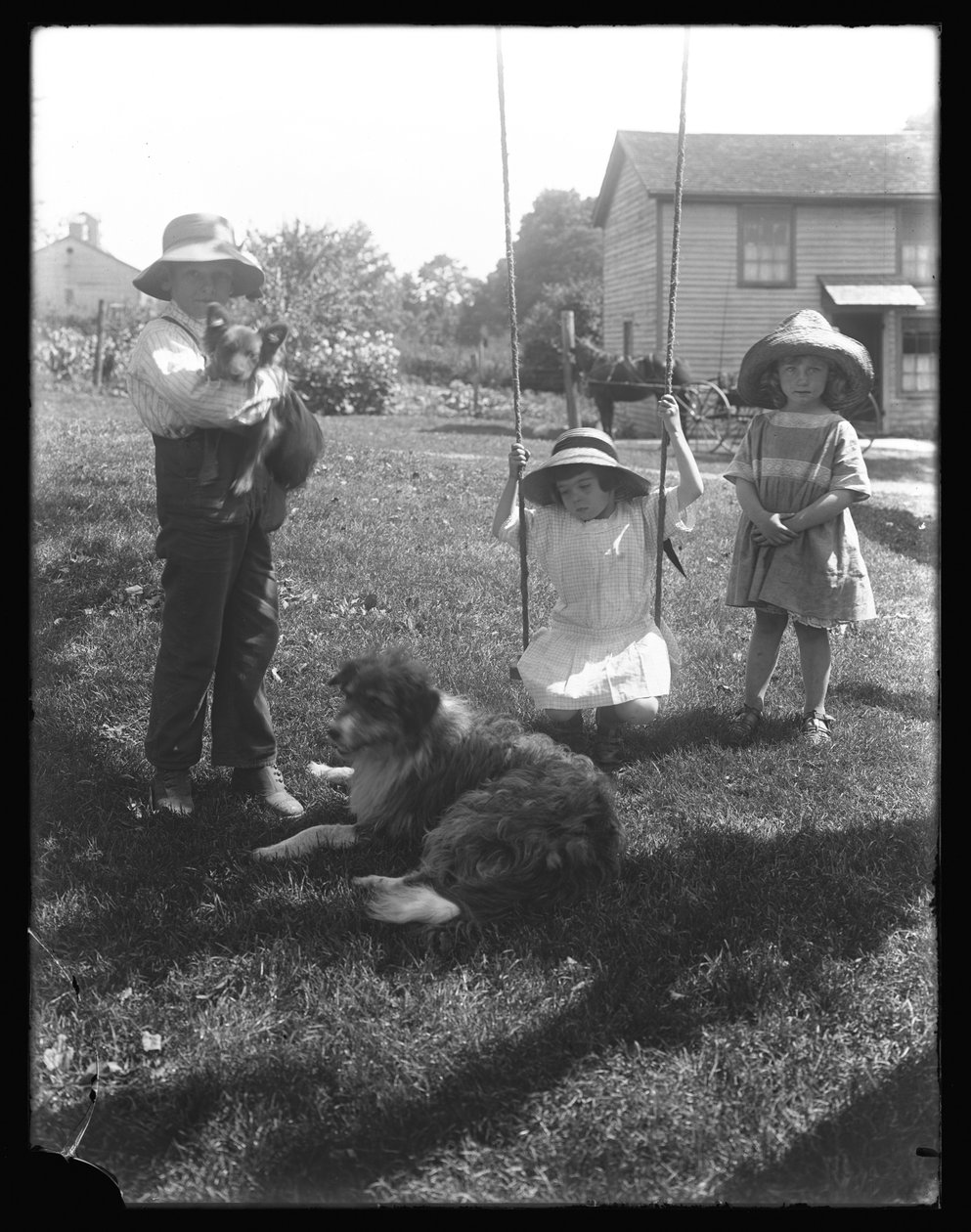 Crianças com um cachorro e cachorro se reuniram em torno de um balanço de corda na McCready Farm, Pensilvânia, c.1913 de William Davis Hassler