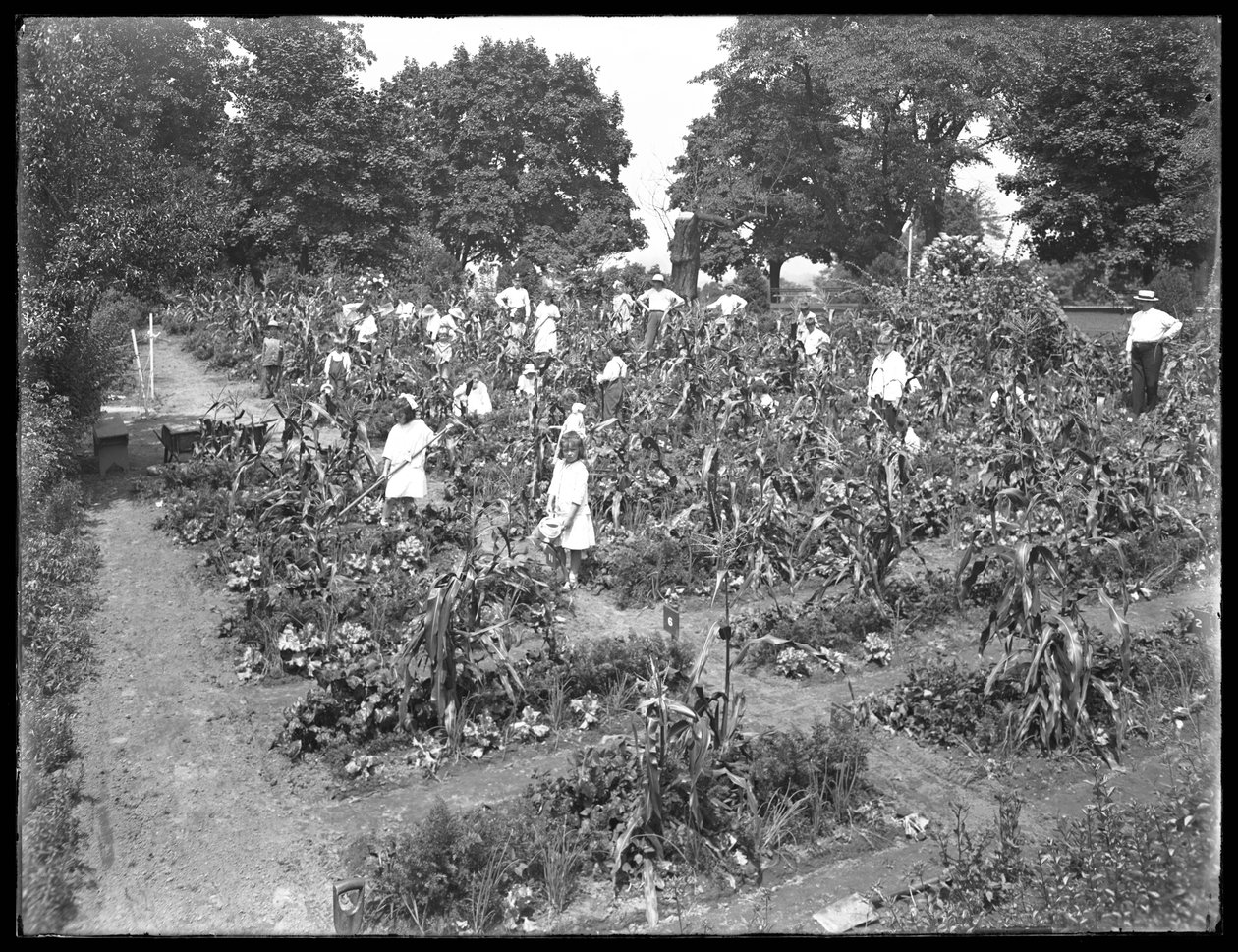 Crianças que trabalham no jardim escolar de Isham Park, Nova York, 16 de agosto de 1915 de William Davis Hassler