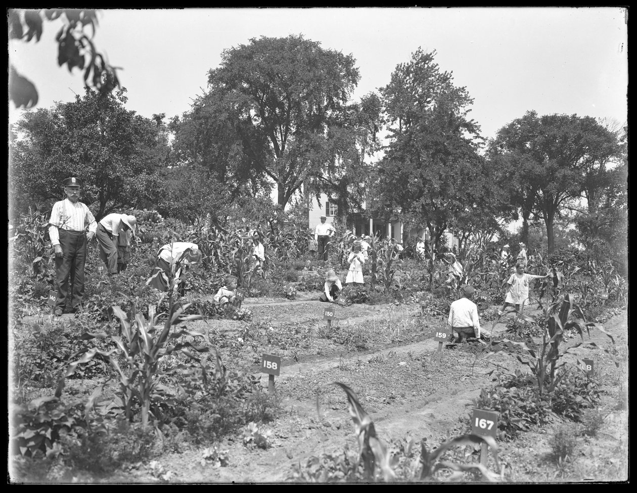 Crianças que trabalham no jardim escolar de Isham Park, Nova York, 16 de agosto de 1915 de William Davis Hassler