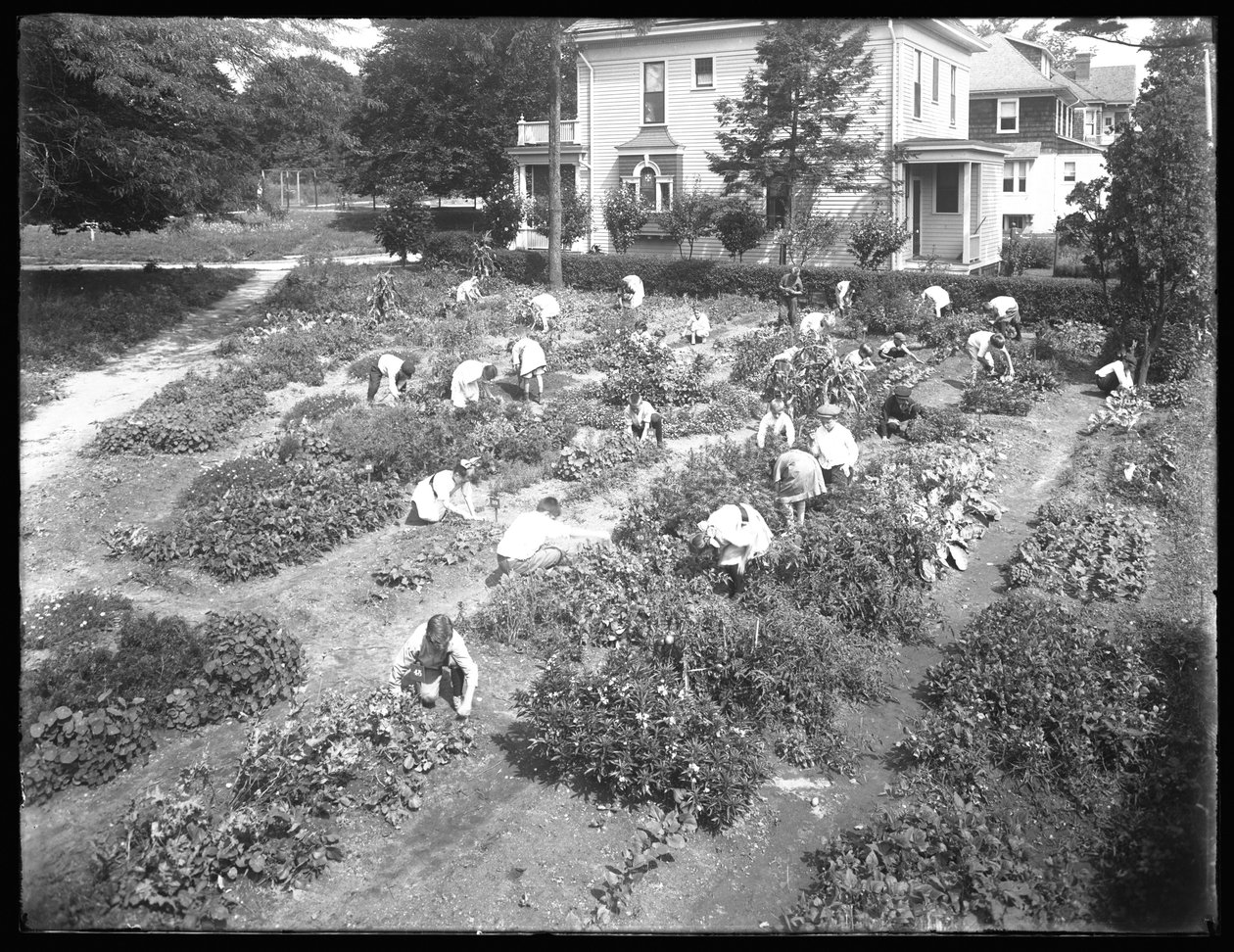 Ângulo alto de crianças que trabalham no jardim na filial de Poppenhusen da biblioteca pública de Queens Borough, 14 de agosto de 1915 de William Davis Hassler