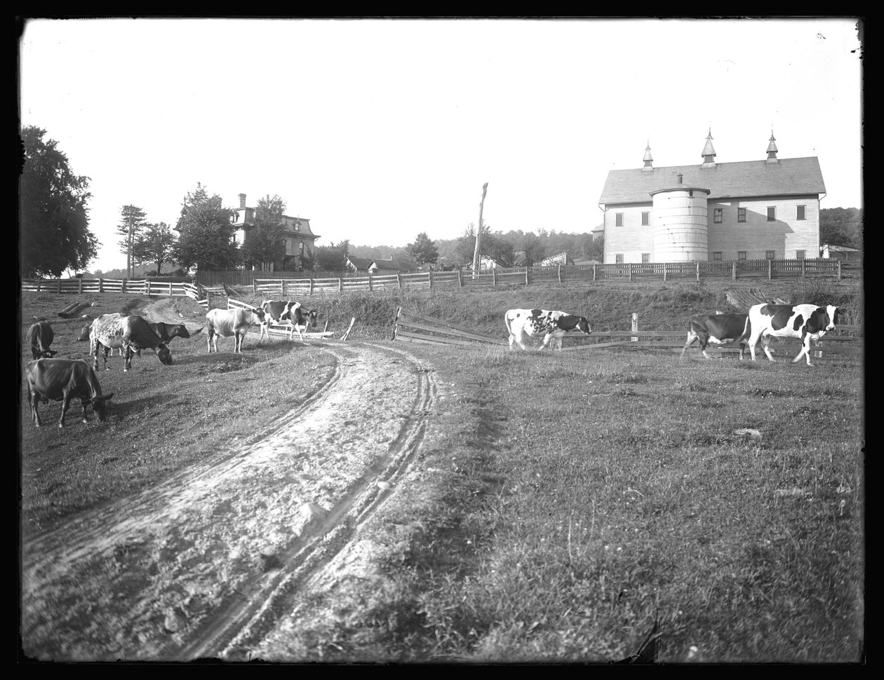 O celeiro de fazenda McCready e residência de Thomas, Pensilvânia, c.1913 de William Davis Hassler