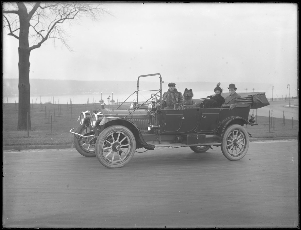 Três pessoas não identificadas e dois cães Chow dirigindo em um carro conversível ao longo de um rio ou lago, c.1912 de William Davis Hassler