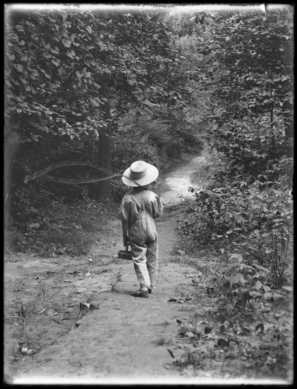William Gray Hassler de chapéu de palha e macacão, carregando vara de pescar e cesto, andando sozinho por um caminho no bosque, 20 de agosto de 1911 de William Davis Hassler