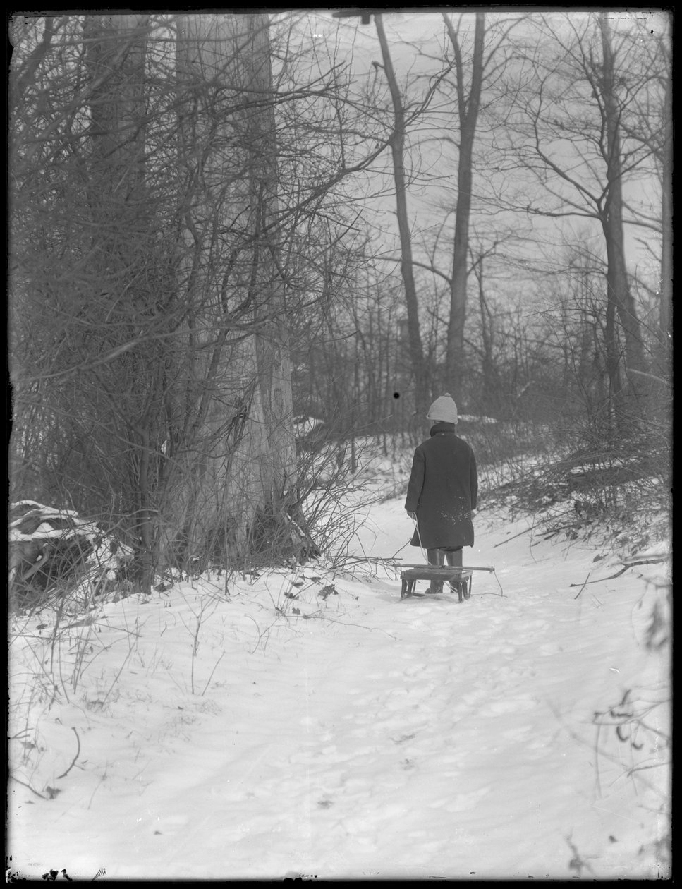 William Gray Hassler puxando seu trenó através de bosques nevados, c.1912 de William Davis Hassler