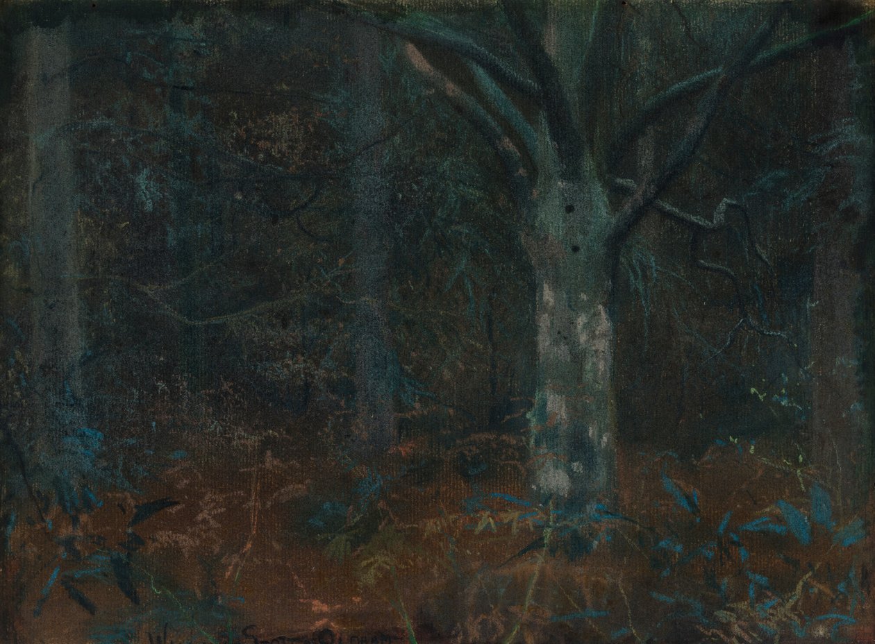 Velho sicômoro de William Edward Stott