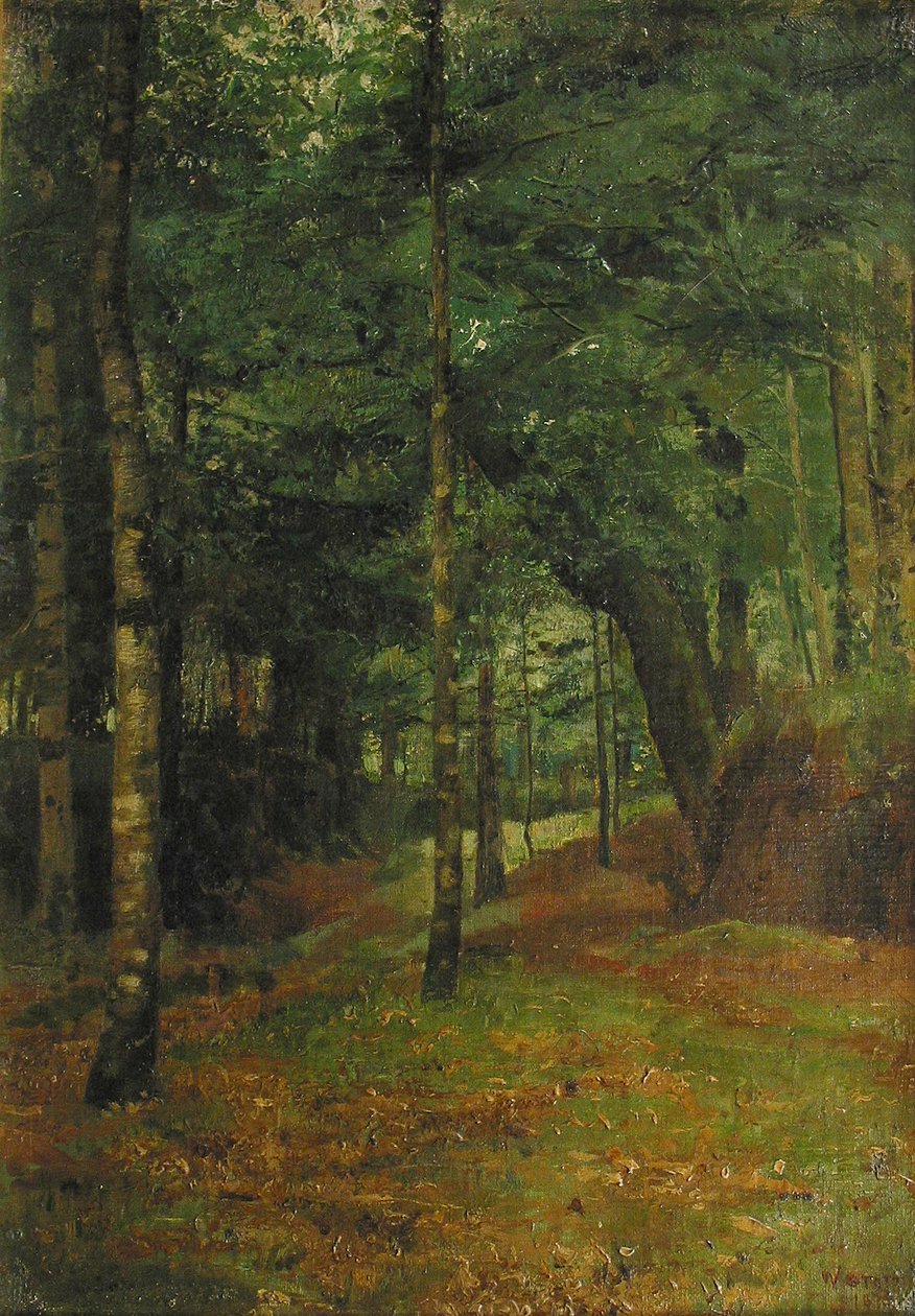 Estudo do sol brilhando através das árvores, Concarneau de William Edward Stott