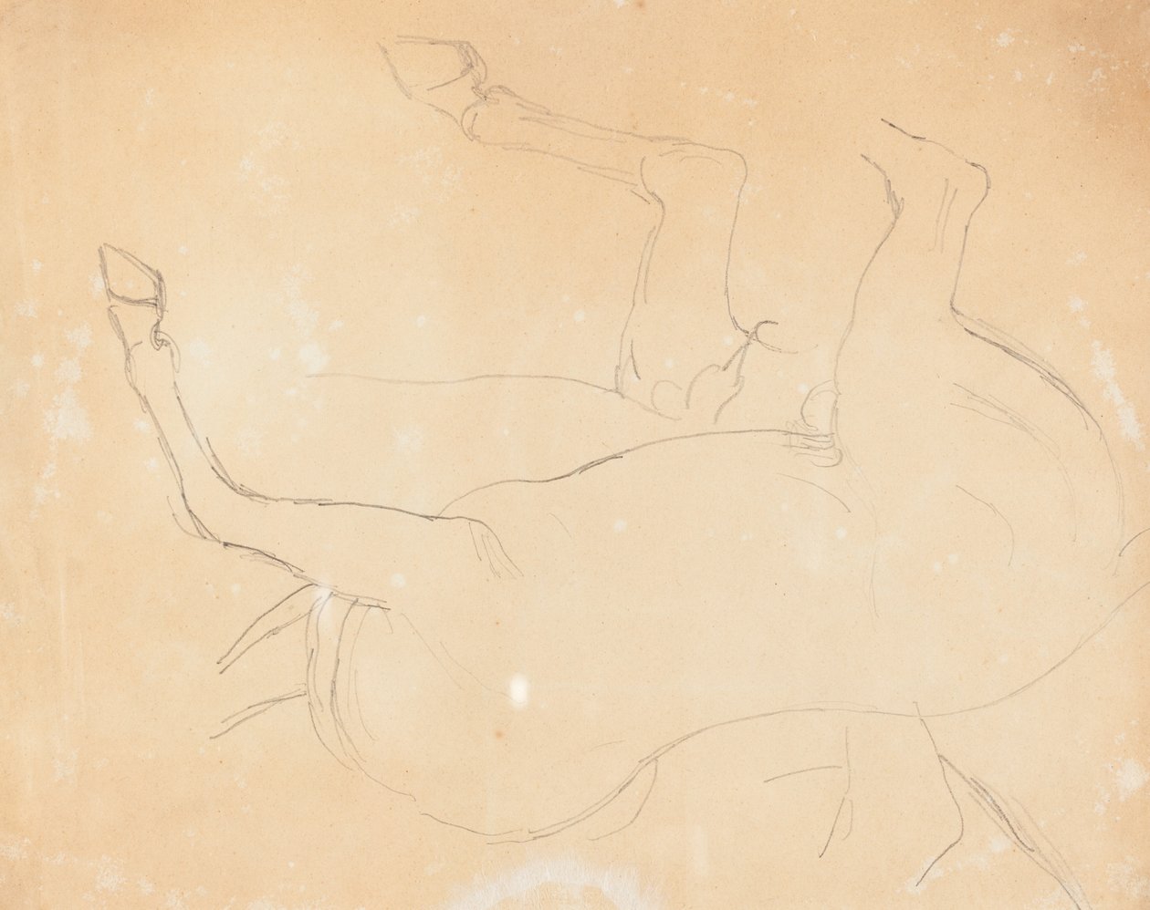 Estudo de um Cavalo [verso] de William Etty