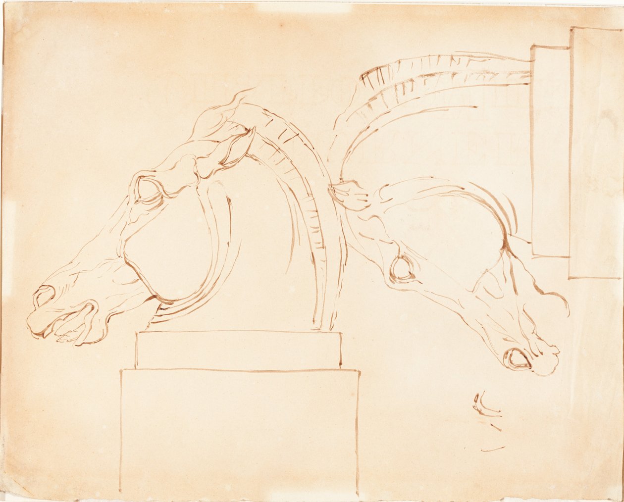 O Cavalo de Selene dos Mármores de Elgin [reto] de William Etty