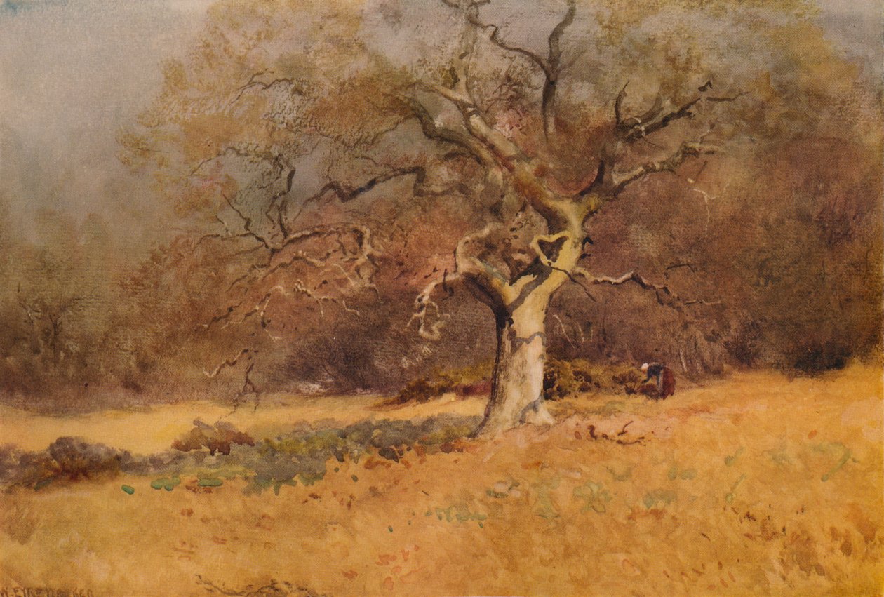 Madeiras de inverno, c1916, 1938 de William Eyre Walker