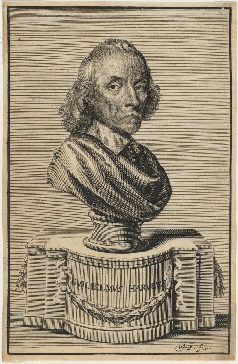 William Harvey, M.D. de William Faithorne