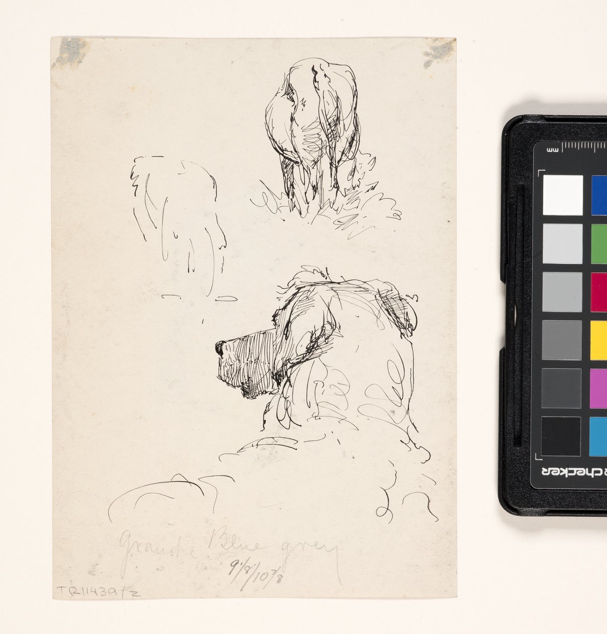 Cão (Recto), Cão e Vaca (Verso) (caneta e tinta em papel tecido de creme) de William Forsyth