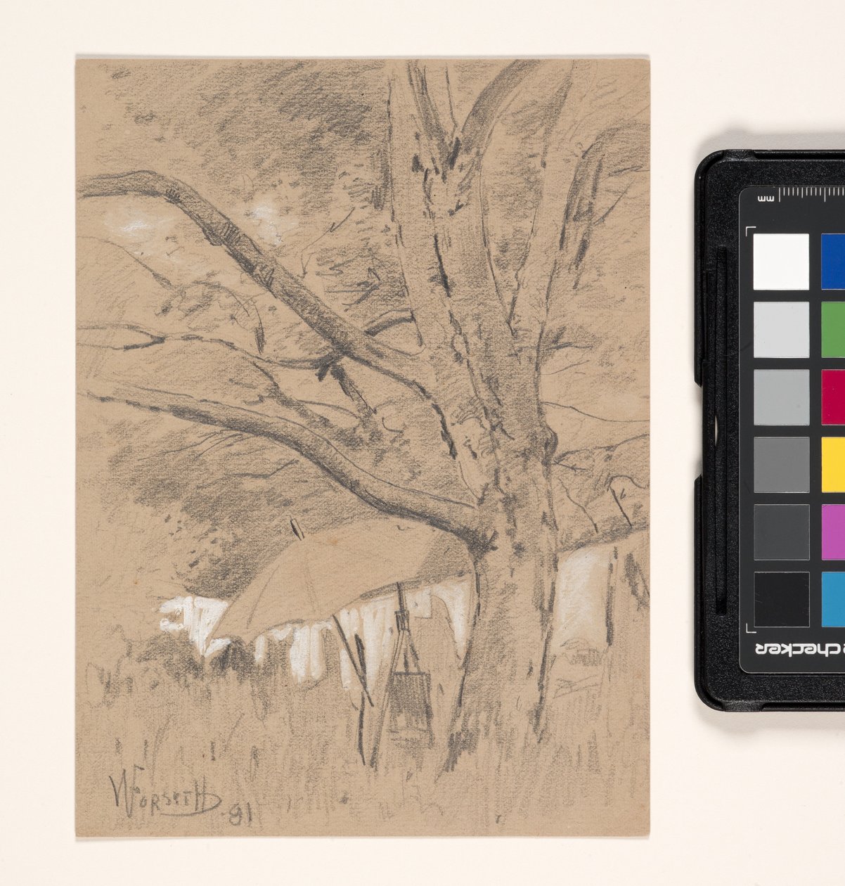 Paisagem com cavalete e guarda-chuva do artista (lápis aumentado de branco sobre papel de tecido bronzeado) de William Forsyth