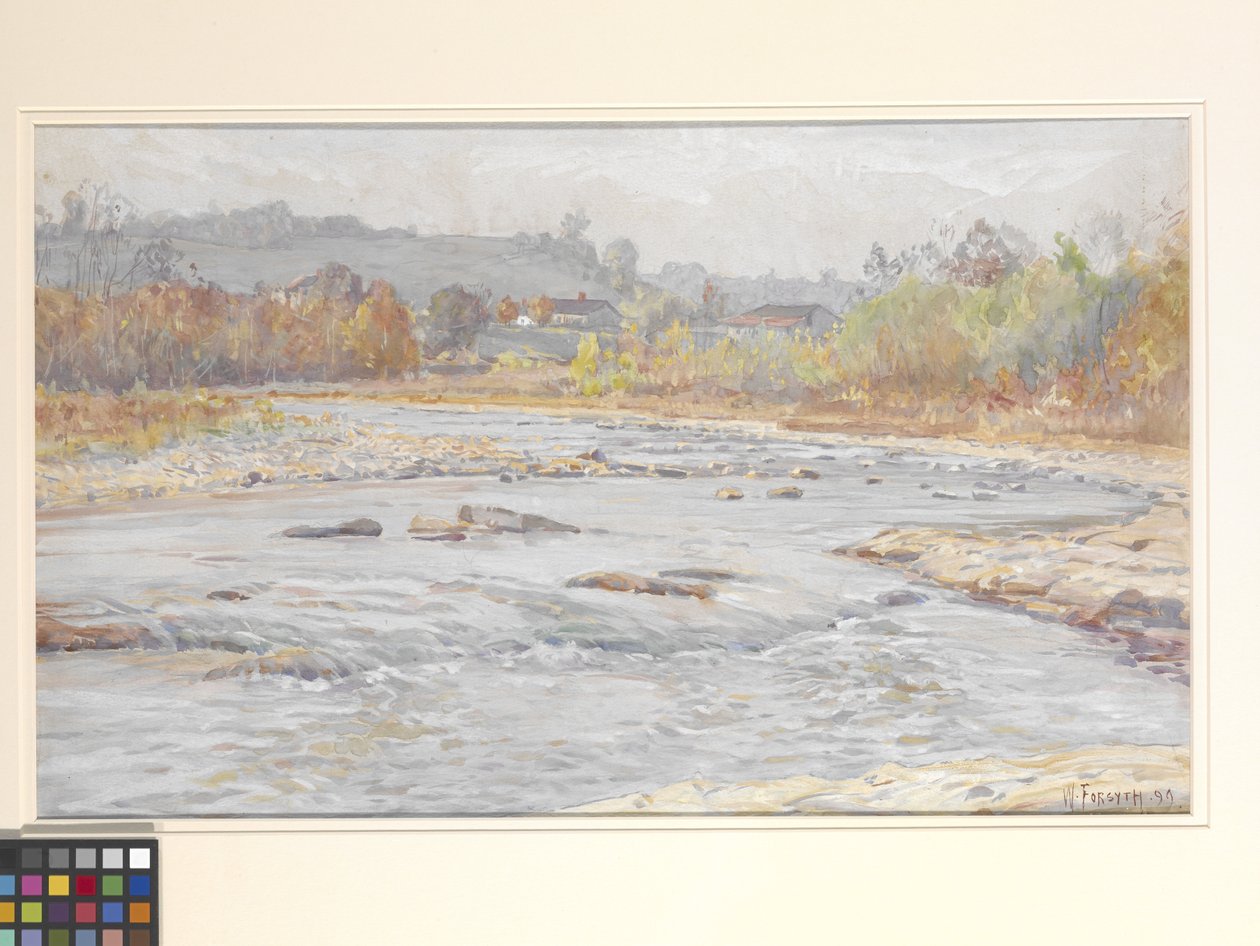 Rapids de água branca (aguarela em papel não branco) de William Forsyth