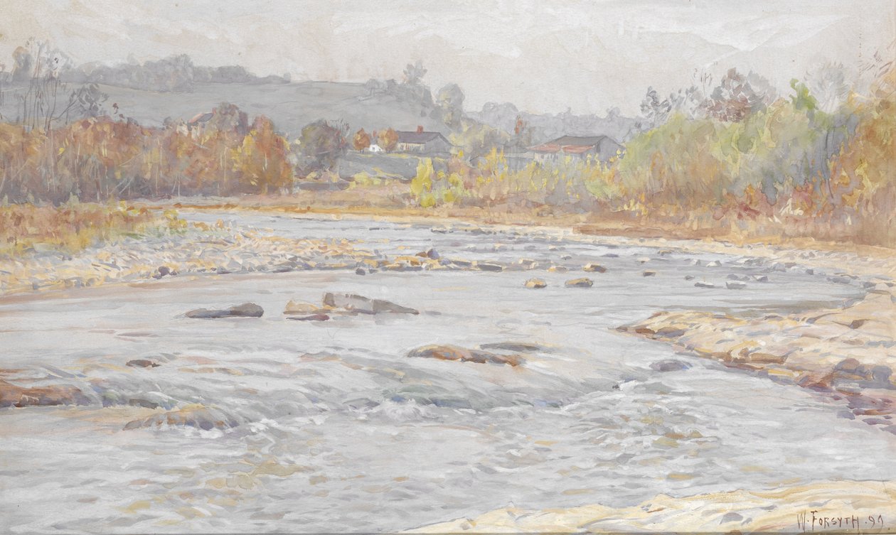 Rapids de água branca de William Forsyth