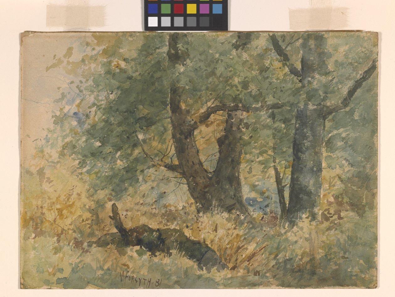 Paisagem da floresta (aguarela) de William Forsyth