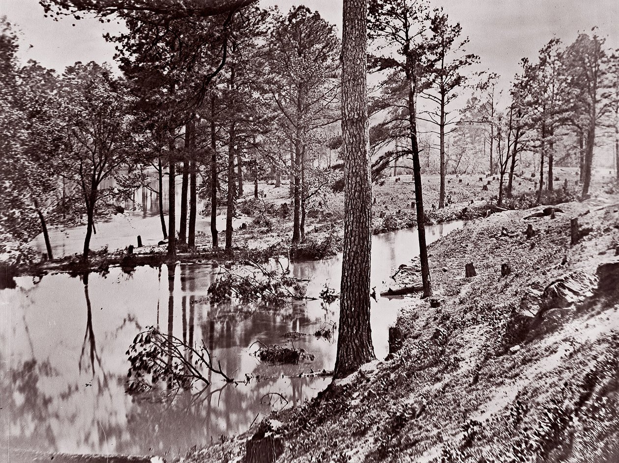 Broadway Landing, Rio Appomattox, 1864. de William Frank Browne