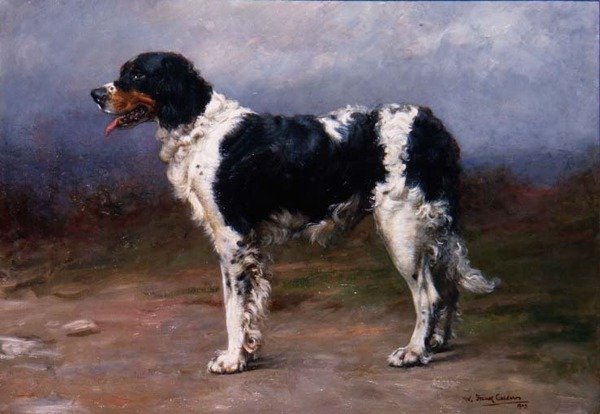 Gundog em uma Paisagem de William Frank Calderon